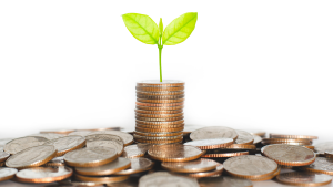 PAFs, DAFs and PuAFs: Understanding philanthropy’s fastest growing giving structures 